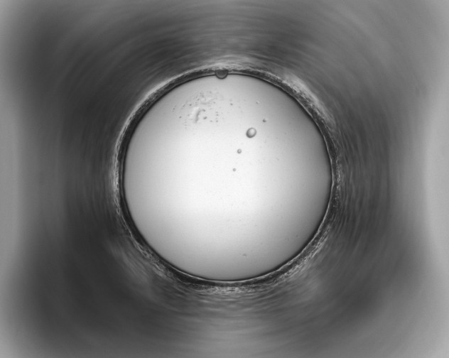 X0000096431232200802141425