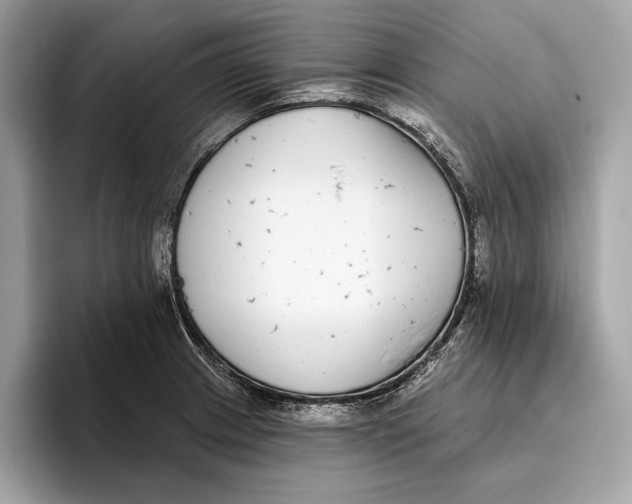 X0000096431233200802141425