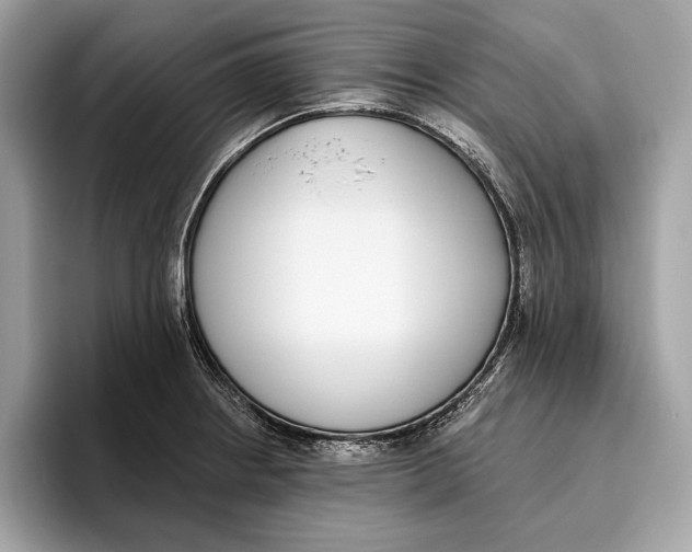 X0000096431234200802141425