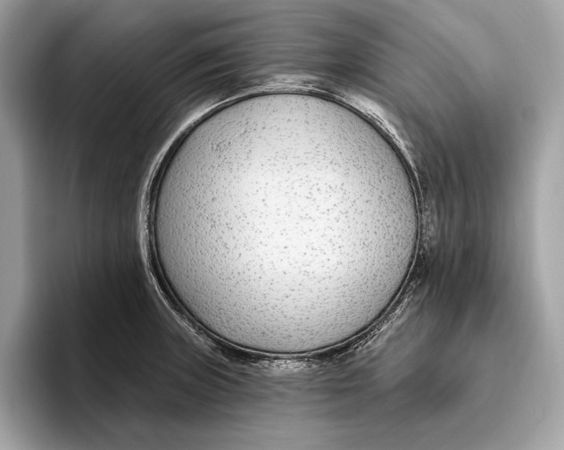 X0000096431235200802141425