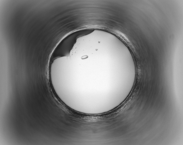 X0000096431236200802141425