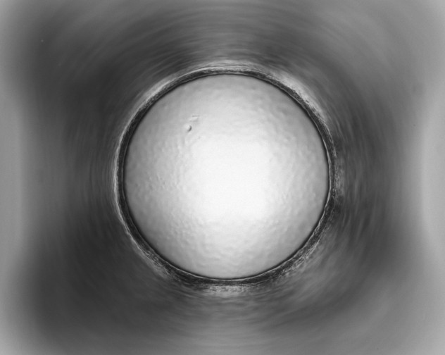 X0000096431237200802141425