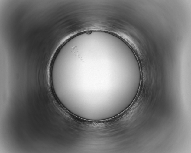 X0000096431238200802141425