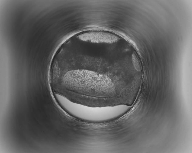 X0000096431239200802141425