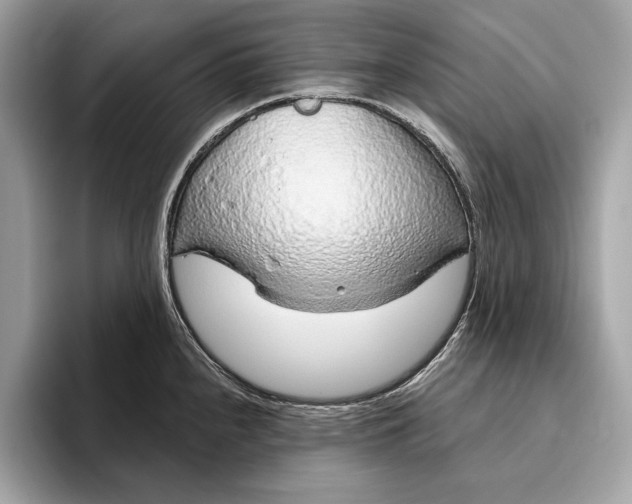 X0000096431240200802141425