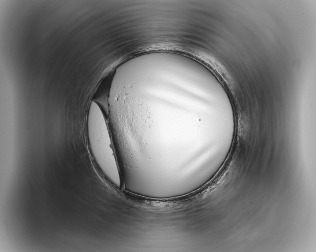 X0000096431241200802141425