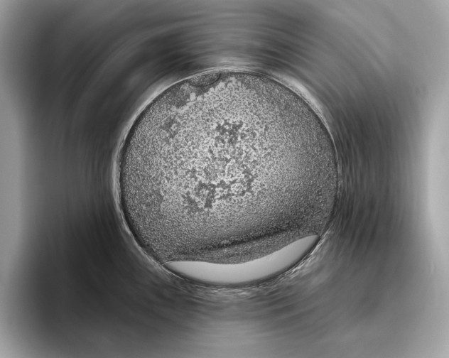 X0000096431243200802141425