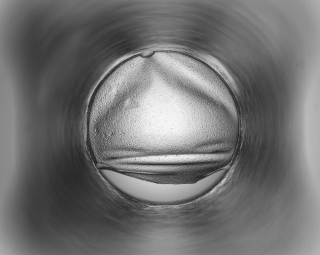 X0000096431244200802141425