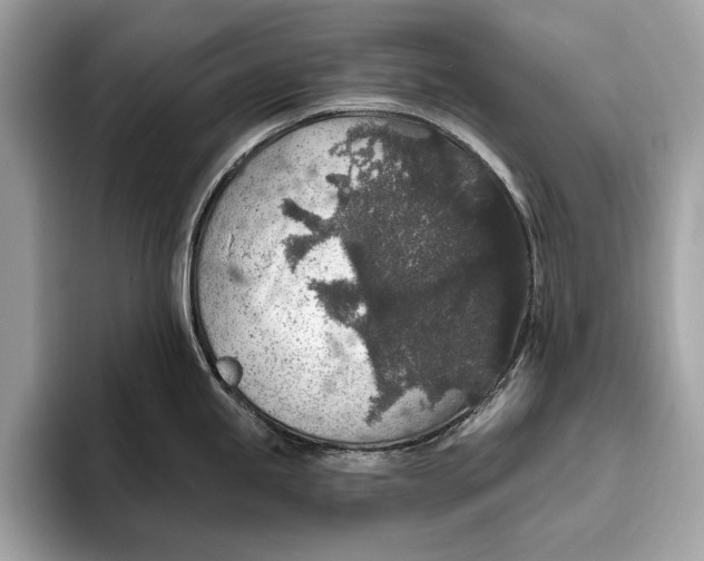 X0000096431245200802141425