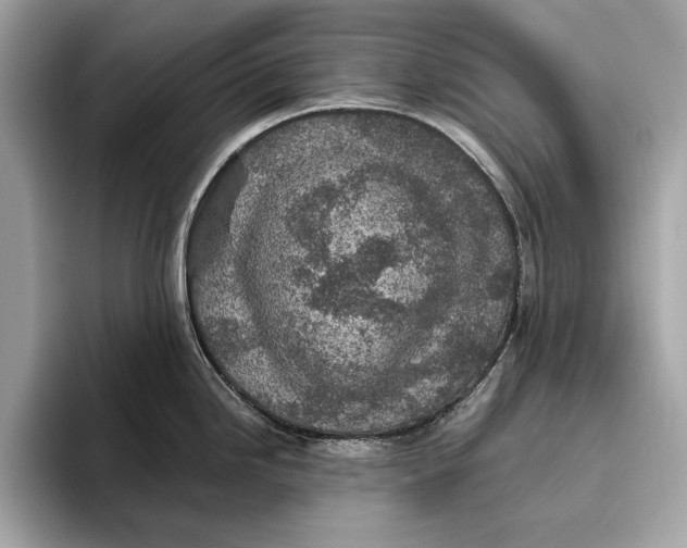 X0000096431246200802141425