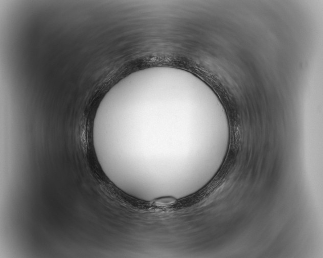 X0000096431250200802141425