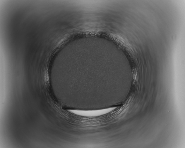 X0000096431252200802141425