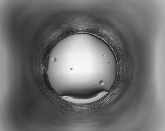 X0000096431253200802141425