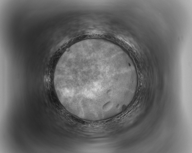 X0000096431254200802141425