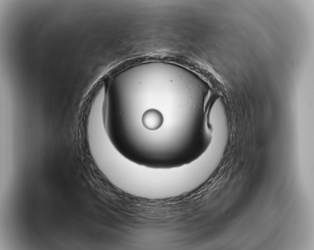 X0000096431256200802141425