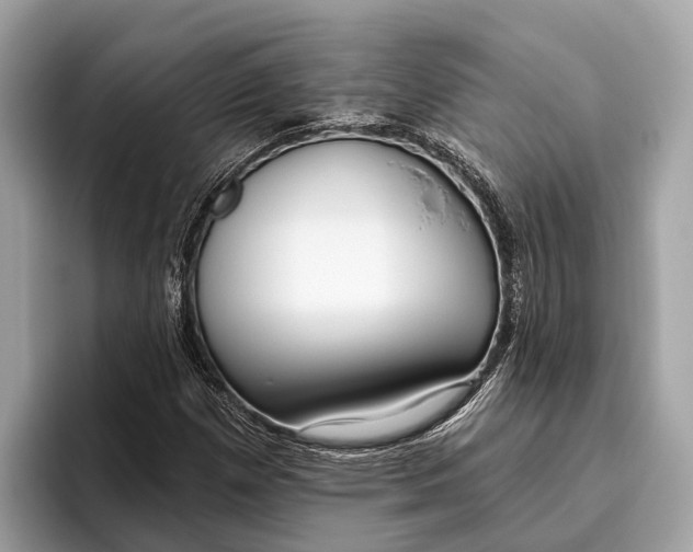 X0000096431257200802141425