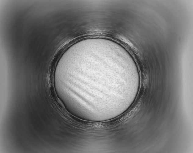 X0000096431259200802141425