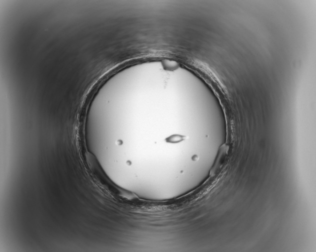 X0000096431260200802141425