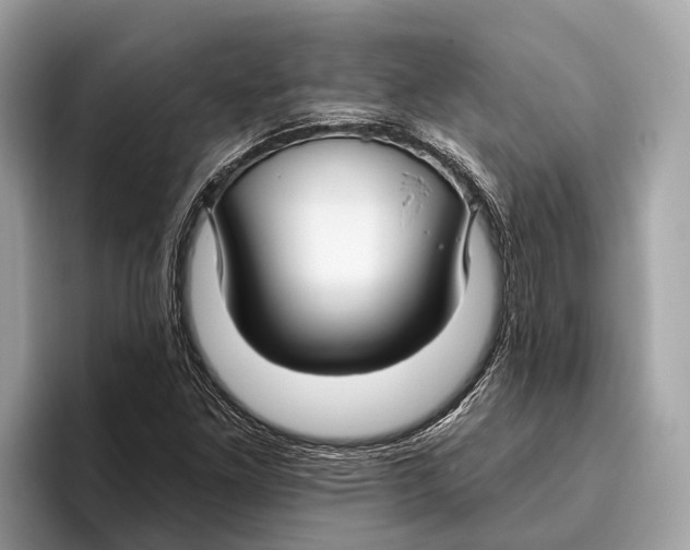 X0000096431261200802141425