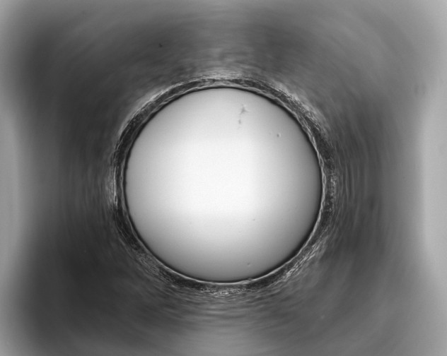 X0000096431262200802141425