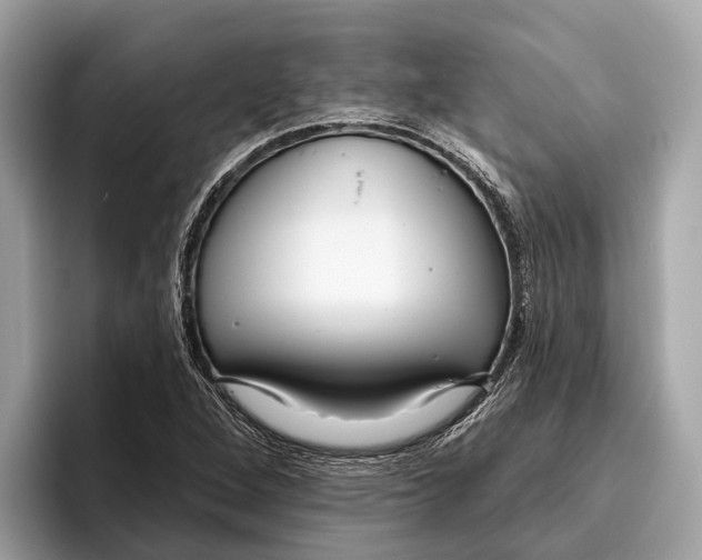 X0000096431264200802141425