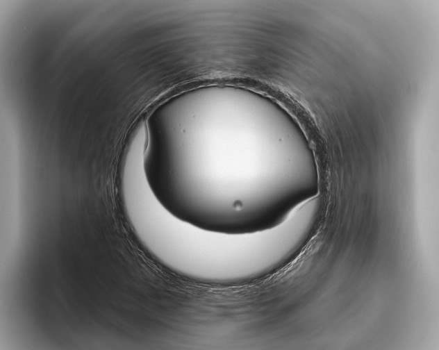 X0000096431265200802141425