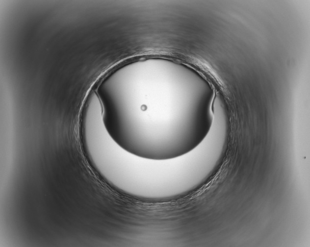 X0000096431268200802141425