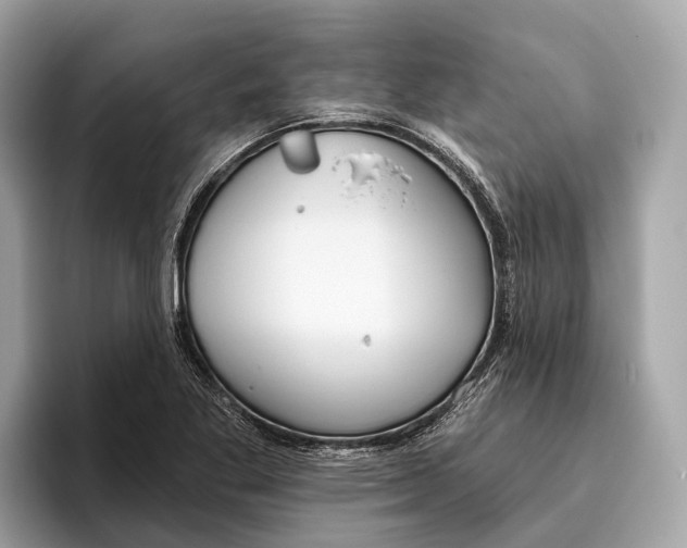 X0000096431269200802141424