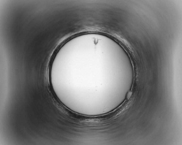 X0000096431272200802141424
