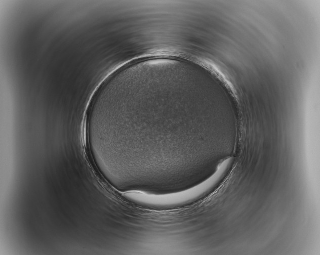 X0000096431276200802141424