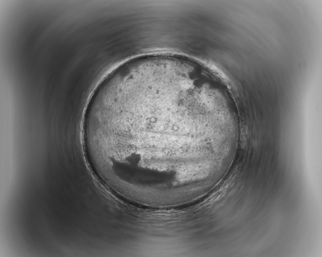 X0000096431279200802141424