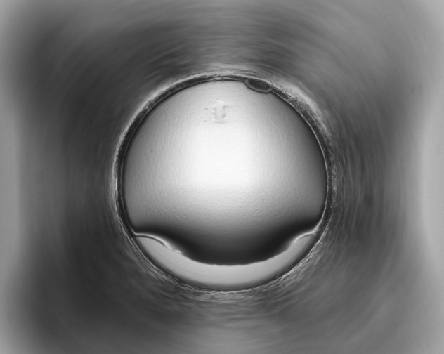 X0000096431280200802141424