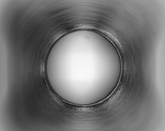 X0000096431281200802141424