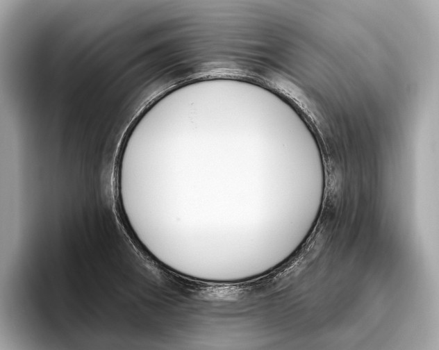 X0000096431282200802141424