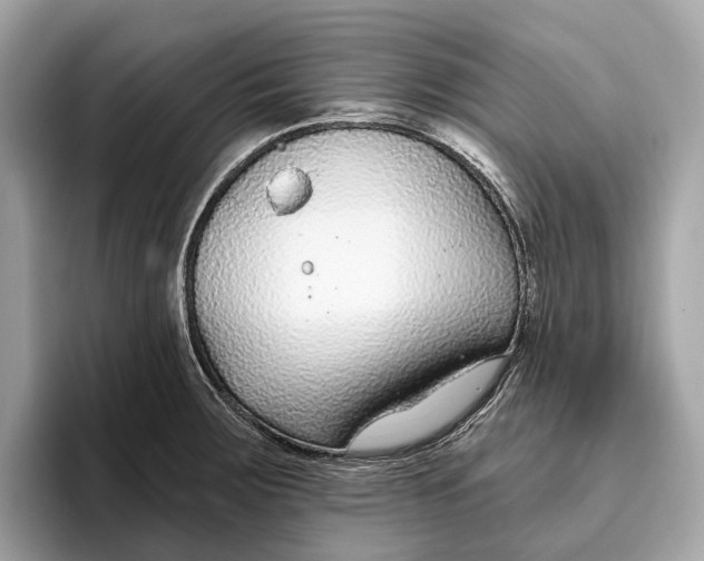 X0000096431283200802141424