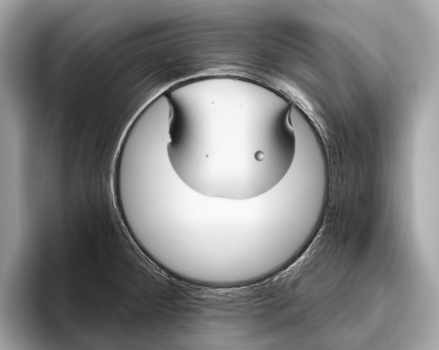 X0000096431284200802141424