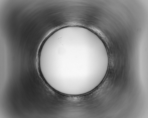X0000096431286200802141424