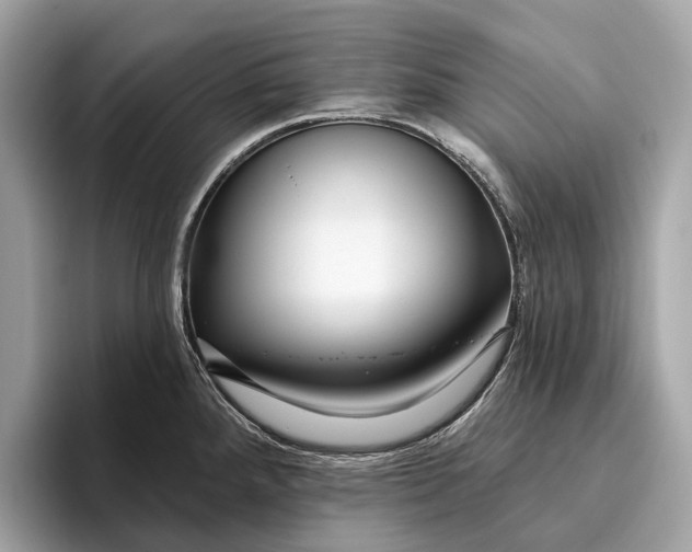 X0000096431288200802141424