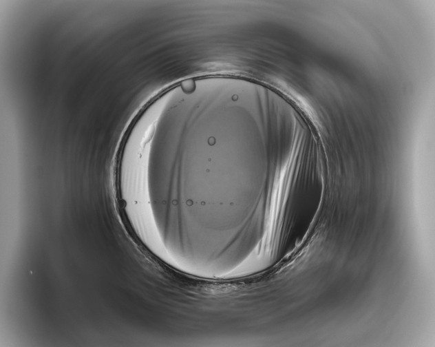 X0000096431291200802141424