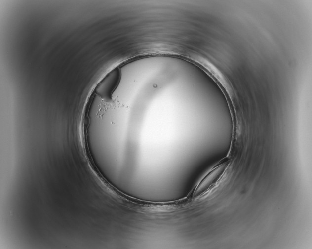 X0000096431293200802141424