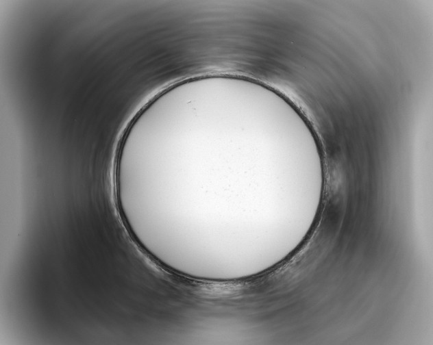 X0000096431294200802141424