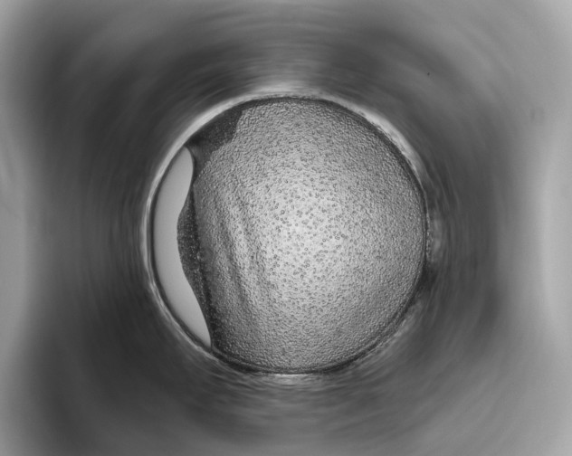 X0000096431295200802141424
