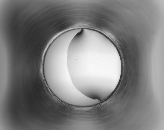 X0000096431296200802141424