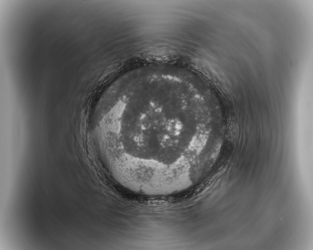 X0000096431297200802141424