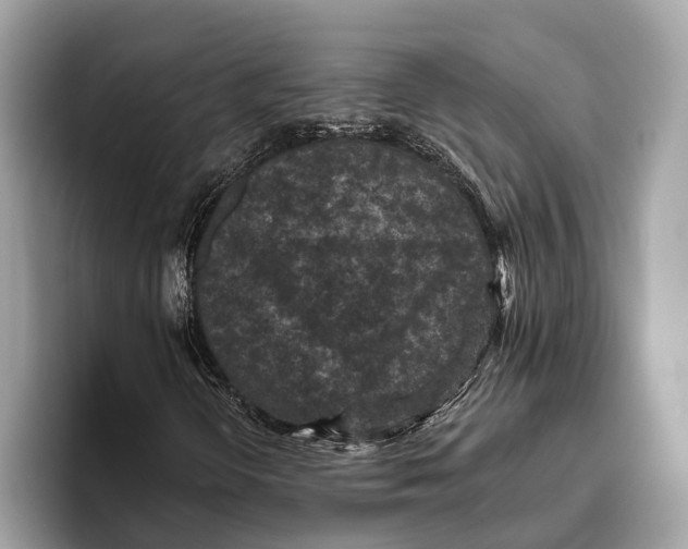 X0000096431298200802141424