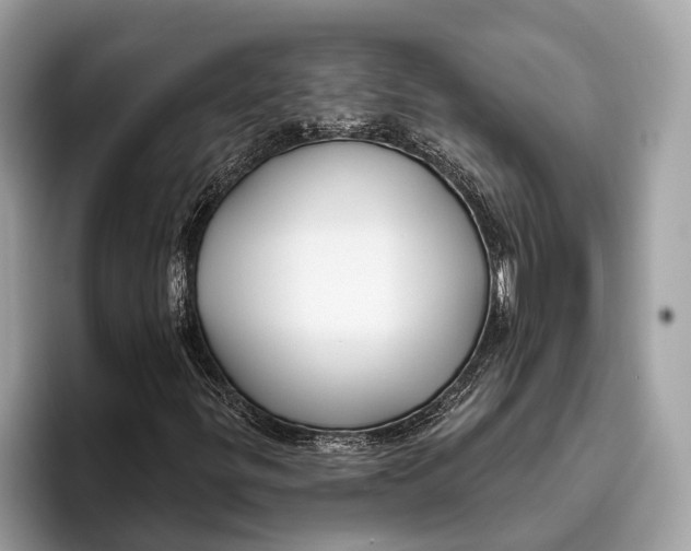 X0000096431299200802141424