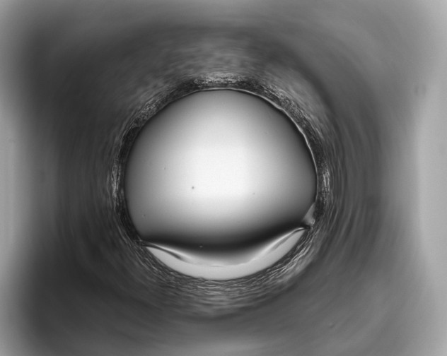 X0000096431300200802141424