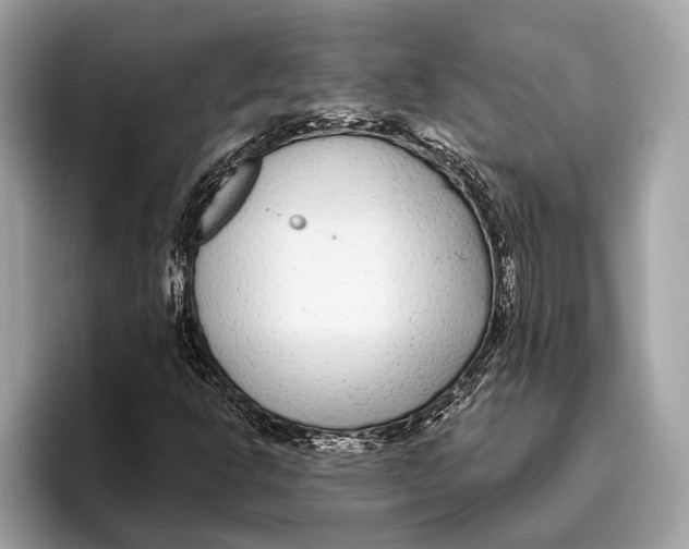 X0000096431302200802141424