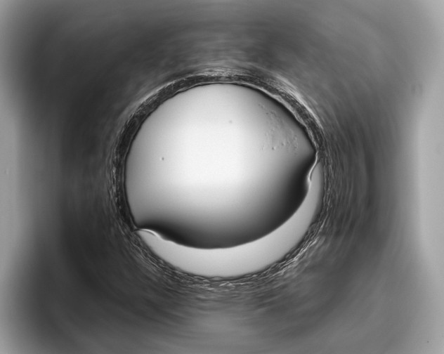 X0000096431304200802141424