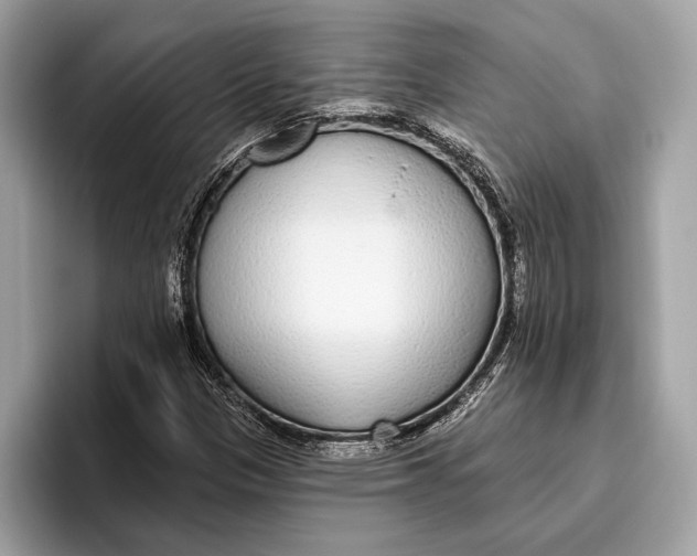 X0000096431305200802141424